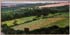 Landscape with Cows, Cornwall