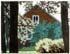 Sagamore Lodge through the Trees no.2