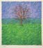 Tree in the Rain
